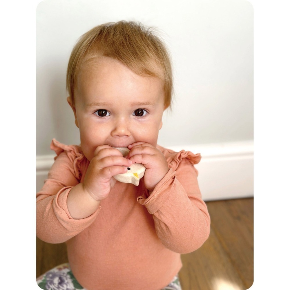 美國 Mentari-可愛動物抓握固齒器(木製玩具/口腔發展)-細節圖4