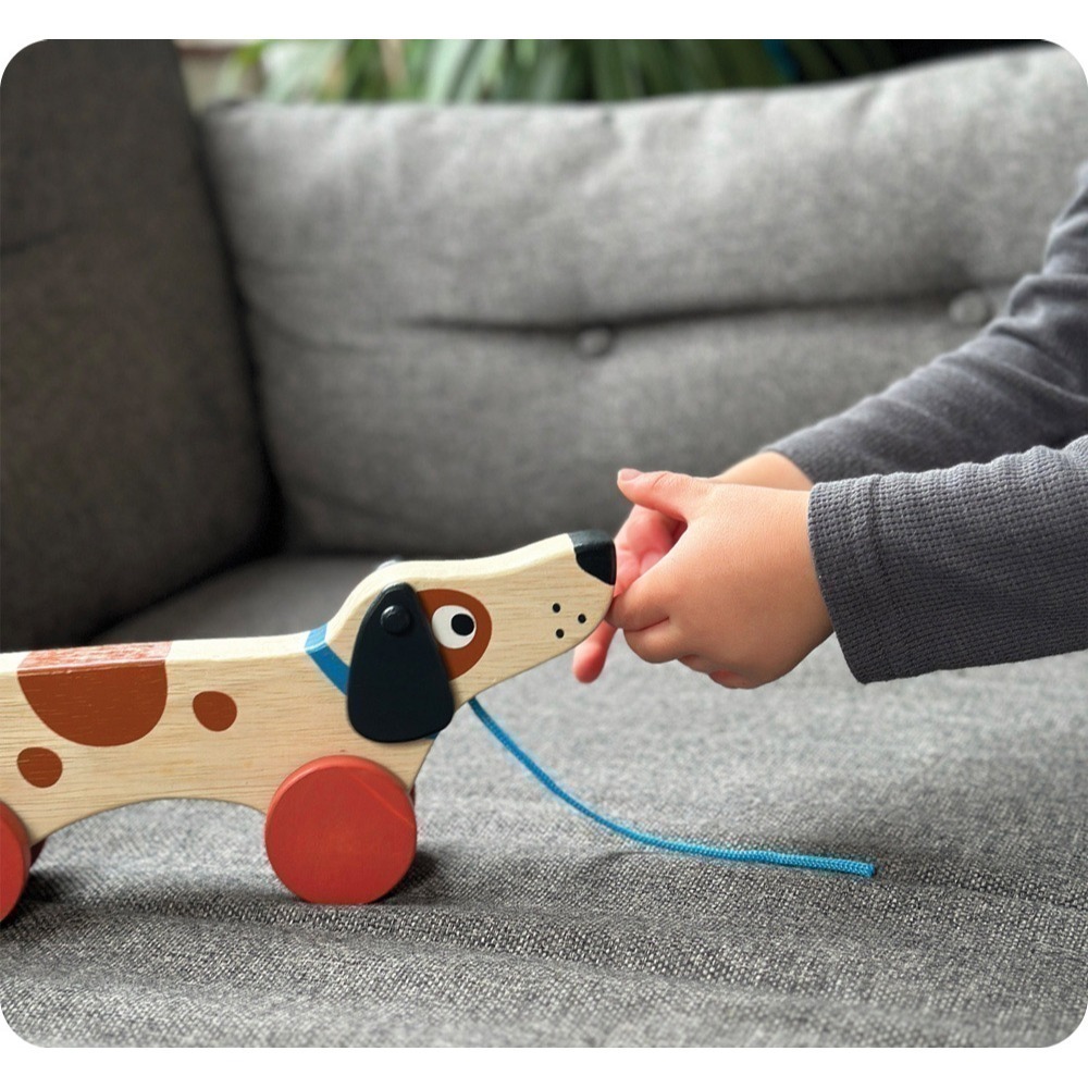 美國 Mentari-米格魯手拉車(木製玩具/操控能力)-細節圖2