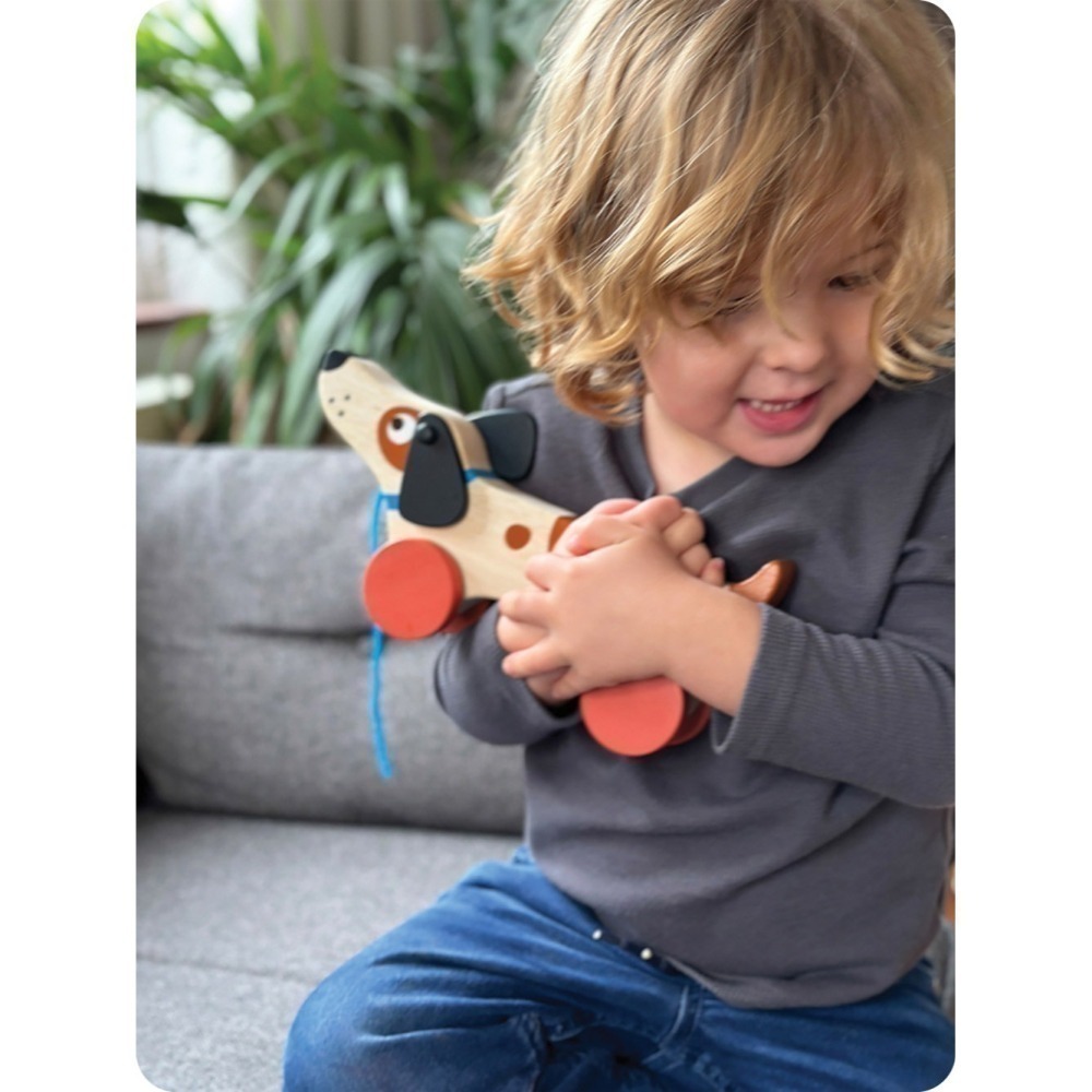 美國 Mentari-米格魯手拉車(木製玩具/操控能力)-細節圖3