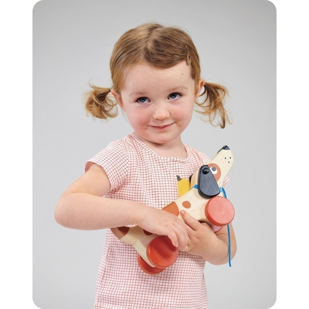 美國 Mentari-米格魯手拉車(木製玩具/操控能力)-細節圖4