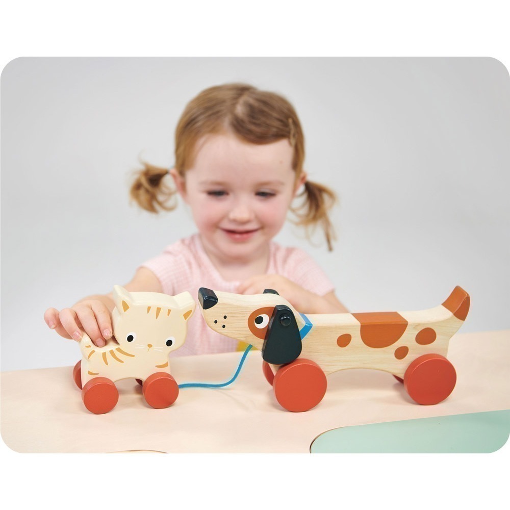 美國 Mentari-米格魯手拉車(木製玩具/操控能力)-細節圖5