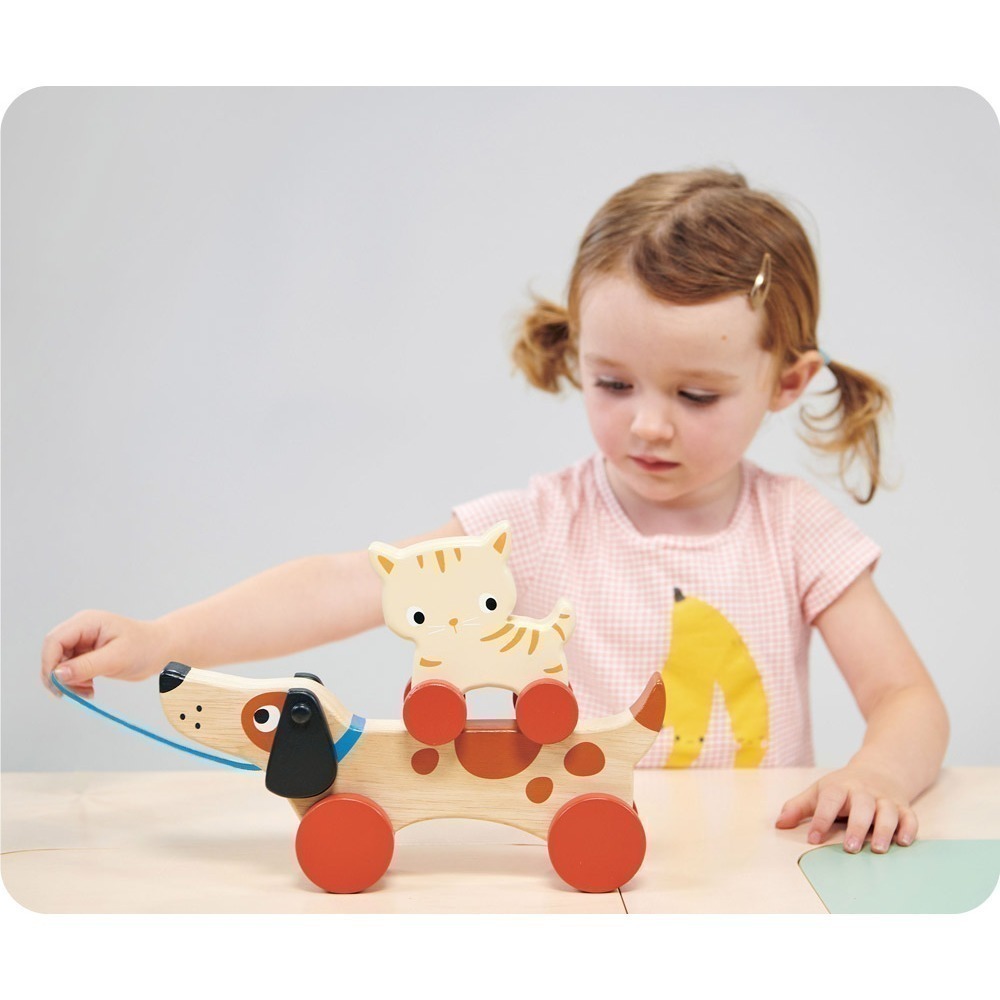 美國 Mentari-米格魯手拉車(木製玩具/操控能力)-細節圖6