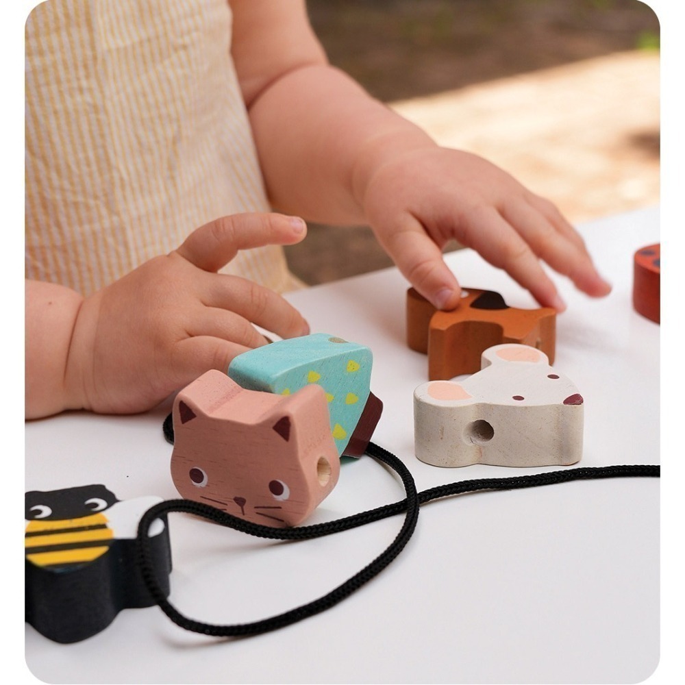 美國 Mentari-花園生態串串樂(木製玩具/手眼協調)-細節圖5