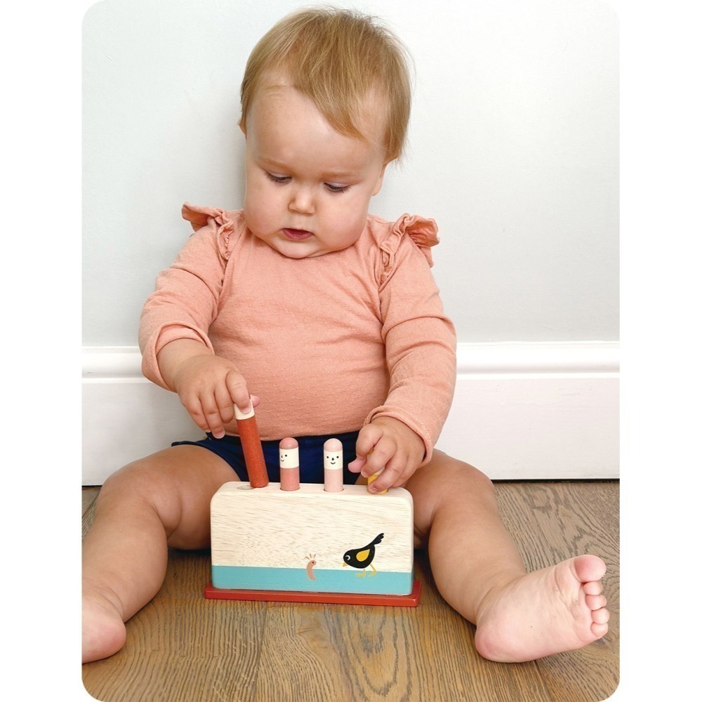 美國 Mentari-可愛蟲蟲彈跳組(木製玩具/手眼協調)-細節圖3