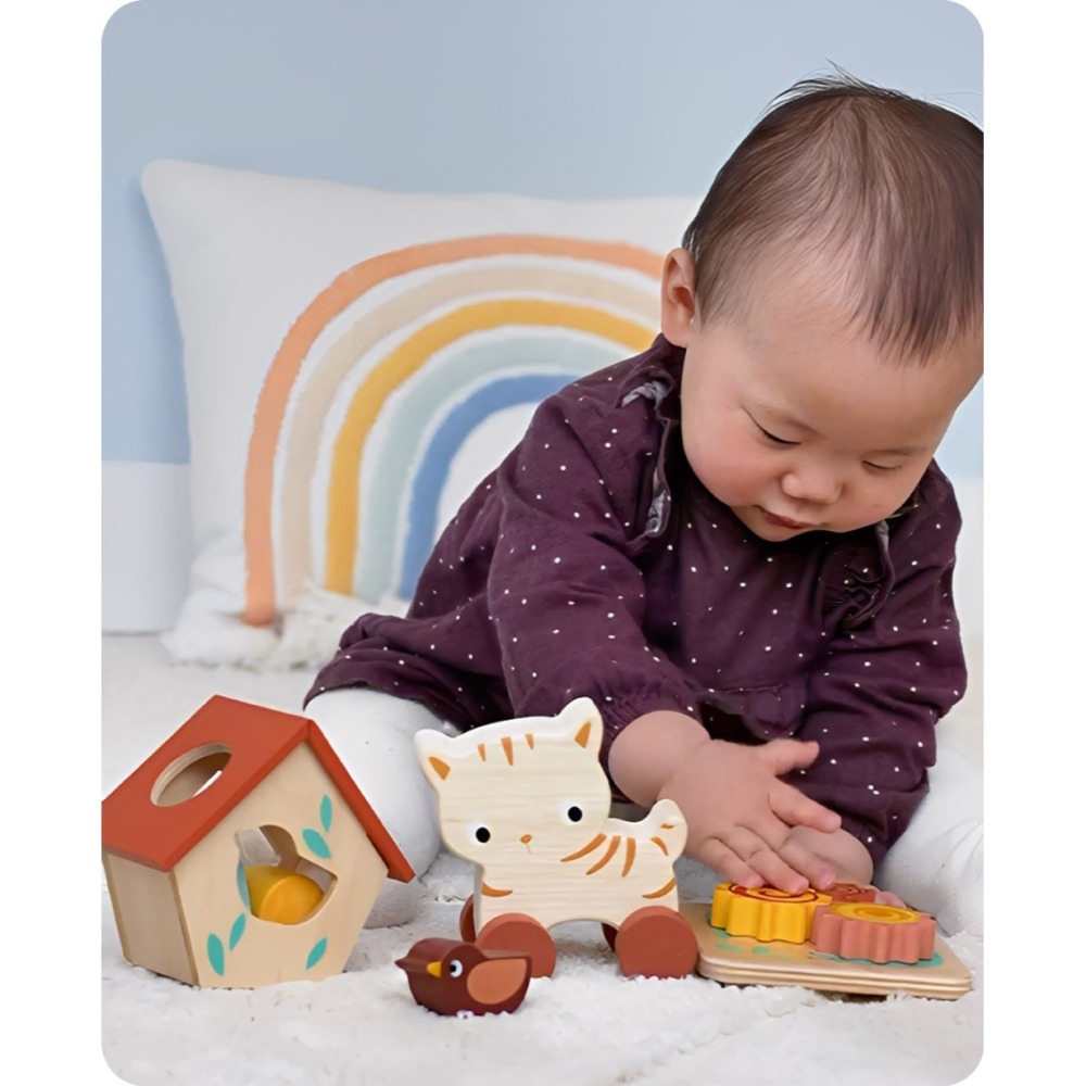 美國 Mentari 感統木育啟蒙組(12個月)(木製玩具/感覺統合/認知發展)-細節圖3
