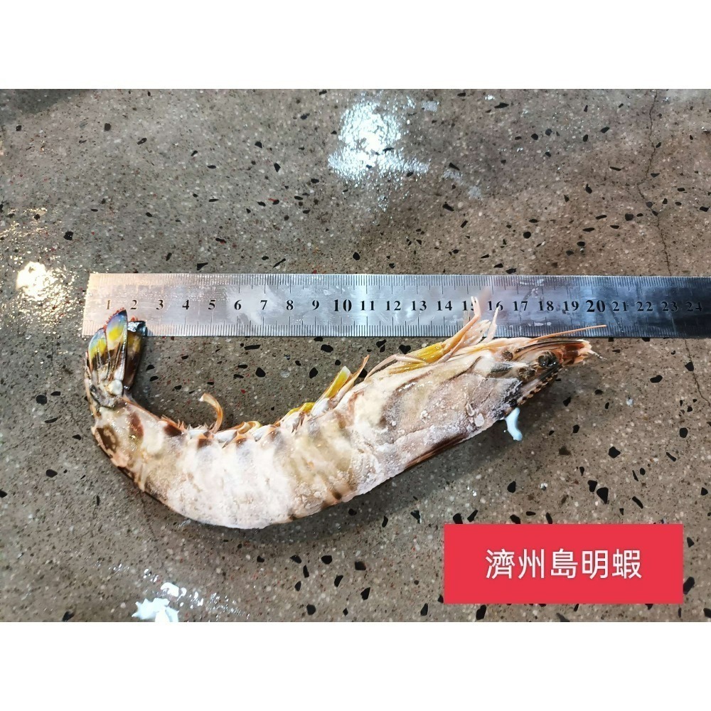 韓國濟州島“斑節蝦-明蝦”1公斤-細節圖2