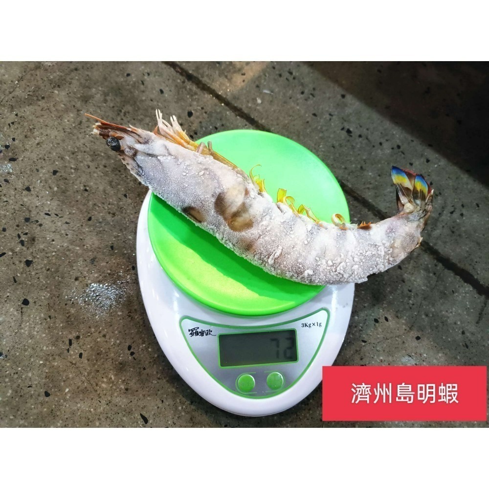 韓國濟州島“斑節蝦-明蝦”1公斤-細節圖3