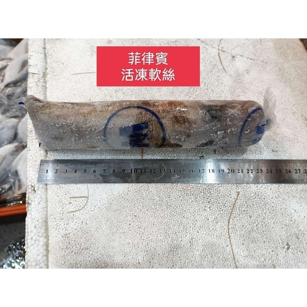 活凍““軟絲””450元““1kg-細節圖2