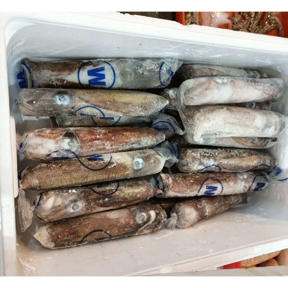 活凍““軟絲””450元““1kg-細節圖3