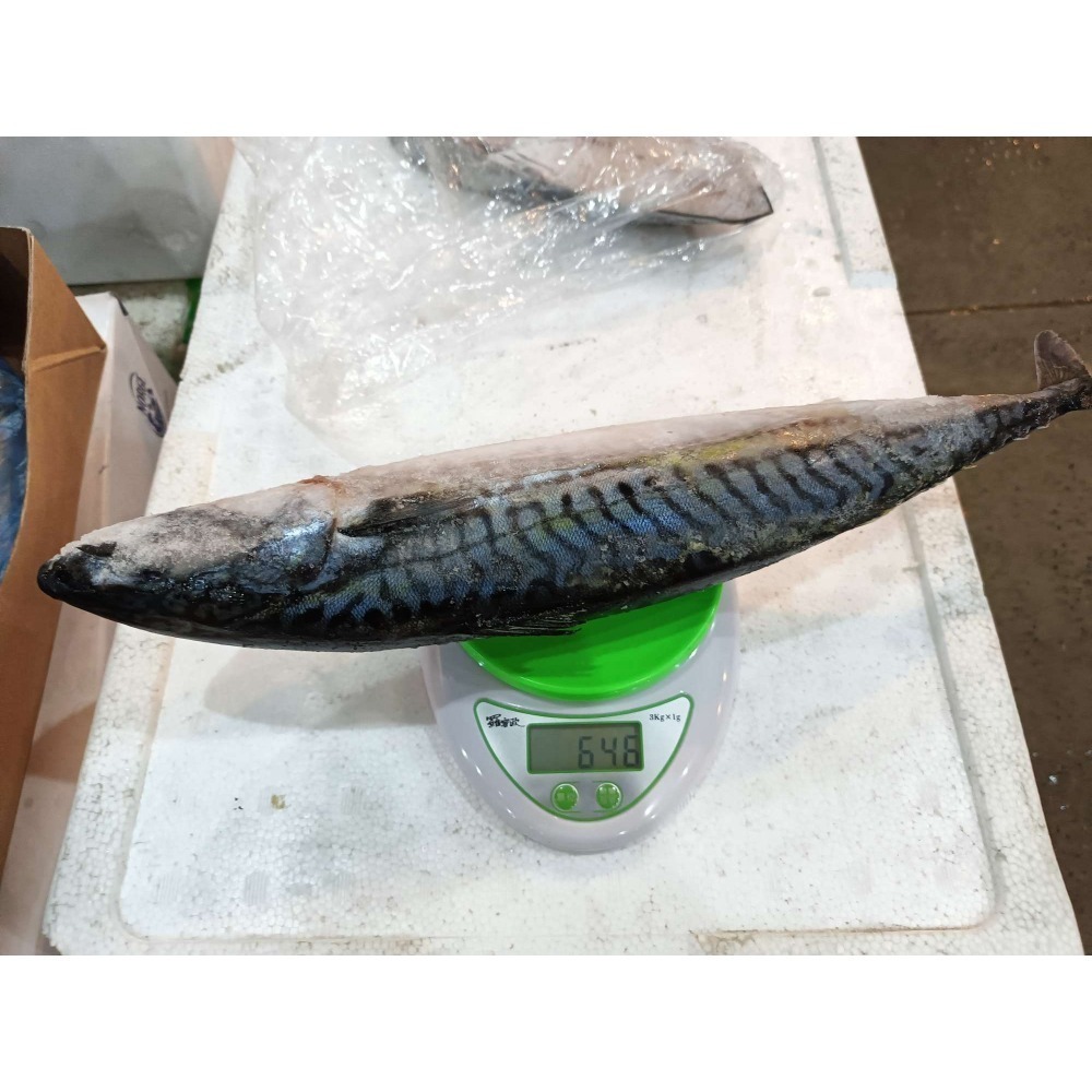 ““挪威鯖魚””可分切剖半-細節圖2