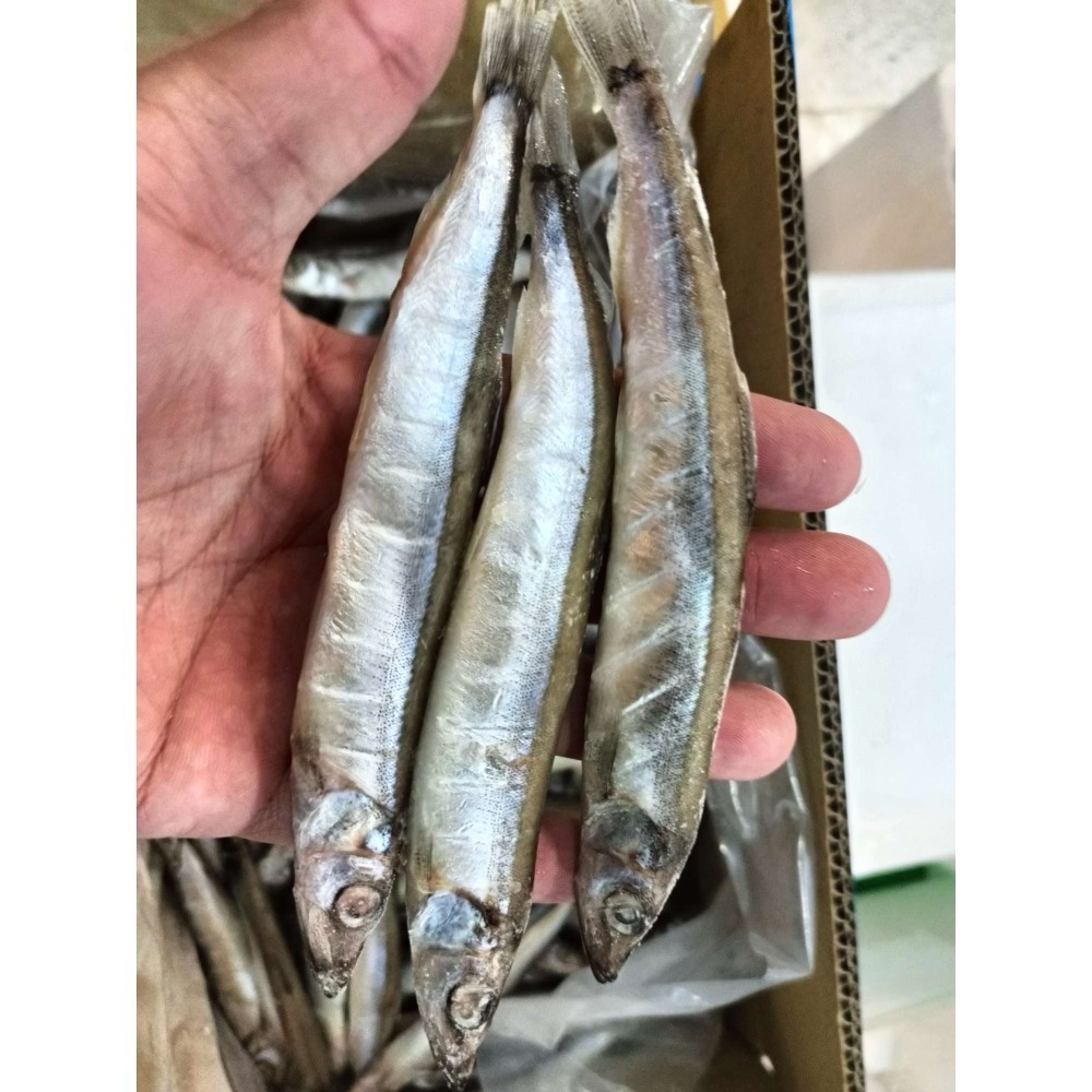 單凍““柳葉魚””500g，約15-20支-細節圖2