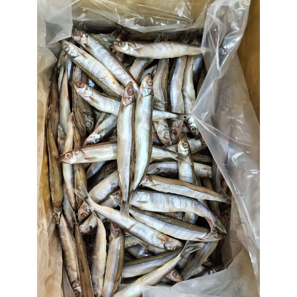單凍““柳葉魚””500g，約15-20支-細節圖3