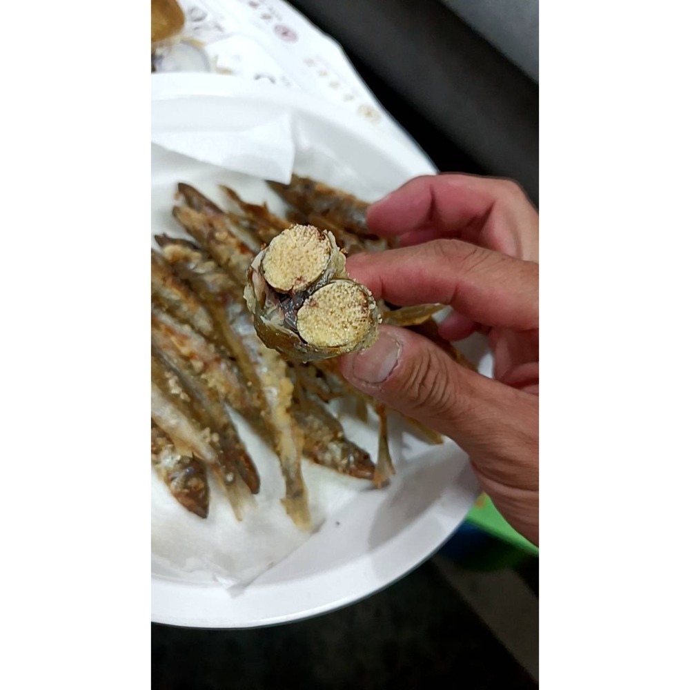 單凍““柳葉魚””500g，約15-20支-細節圖7