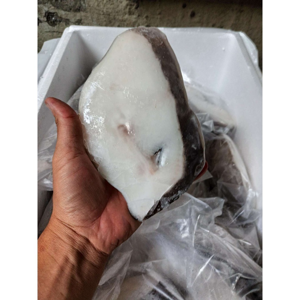 冰島鱈魚，大比目魚-細節圖3