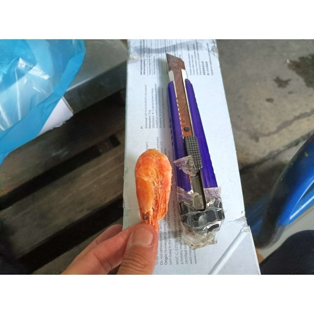 熟凍甜蝦**500g-細節圖3