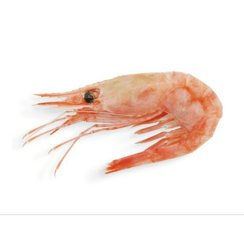 熟凍甜蝦**500g-細節圖5