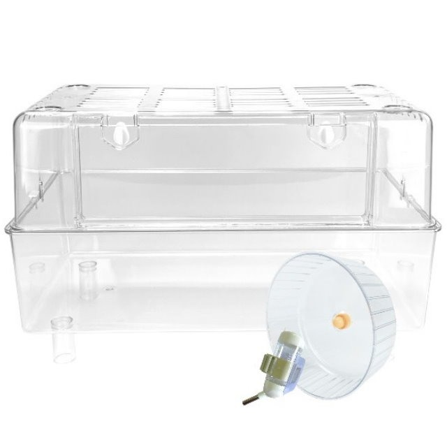 速出 50籠 透明倉鼠籠 倉鼠水晶籠 倉鼠科養籠 倉鼠壓克力籠 倉鼠飼養箱 寵物籠 小寵透明 寵物透明 小寵籠 鼠籠-規格圖5