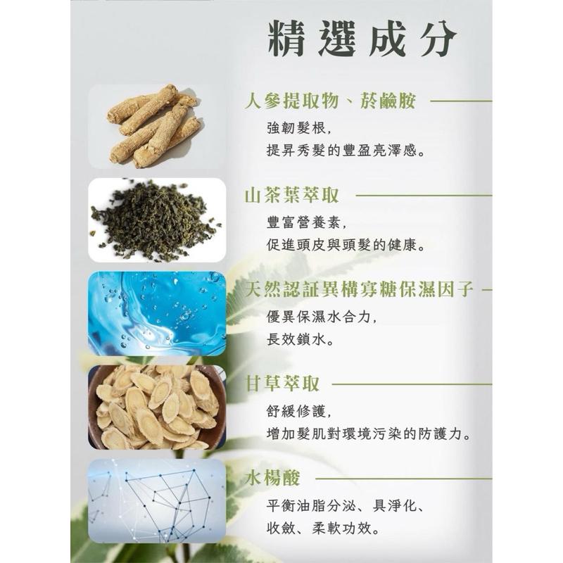 🔥滿額免運中🔥TIANYANG．L 萃植養護 深淨洗髮精 清爽控油 飄逸蓬鬆 保濕自然無香味款-細節圖3