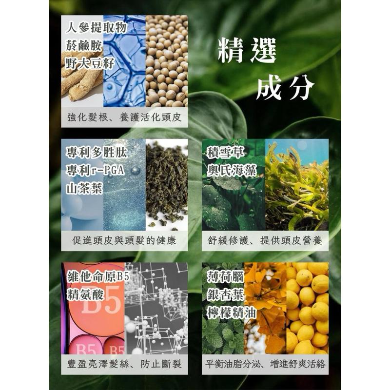 🔥限時優惠🔥買頭皮水送洗髮精『TIANYANG．L 頭皮涼感調理液』頭皮水 頭皮噴霧 清涼有感 清爽乾淨-細節圖3