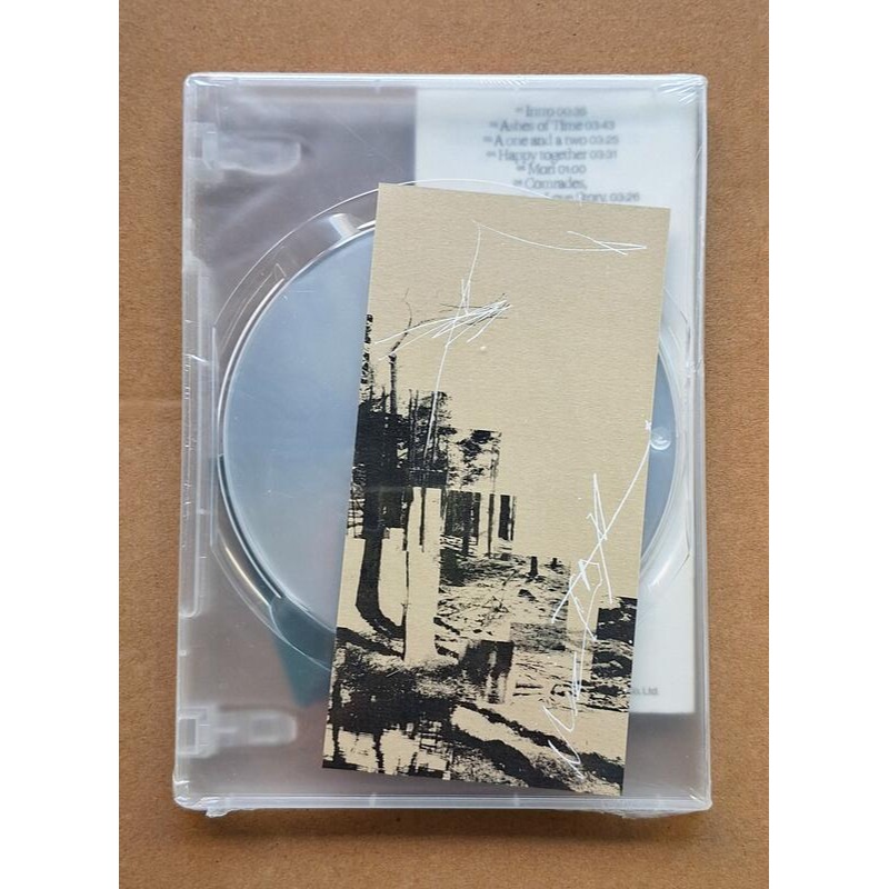 Theseus 忒修斯 森林的終點是海CD 奧少年 正版全新-細節圖2