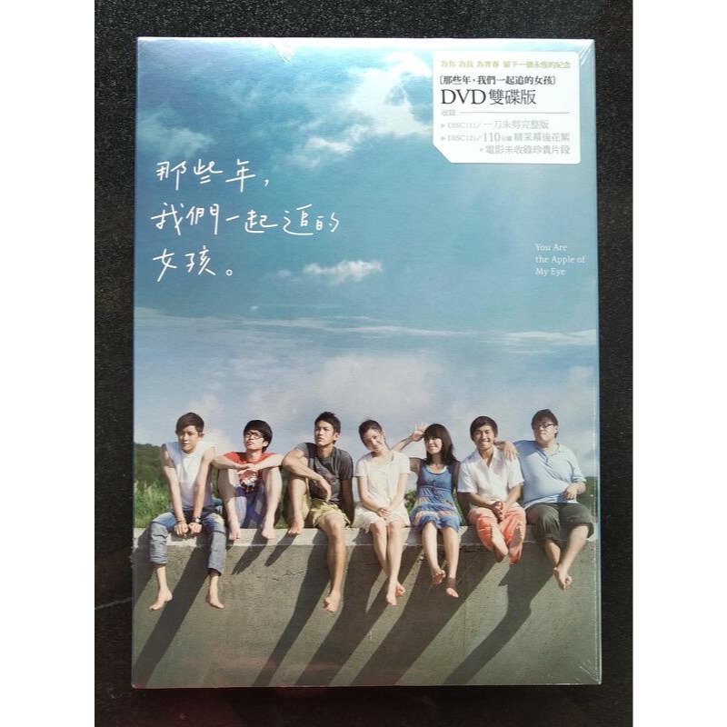 那些年我們一起追的女孩2DVD 平裝版柯震東陳妍希正版全新那些年，我們