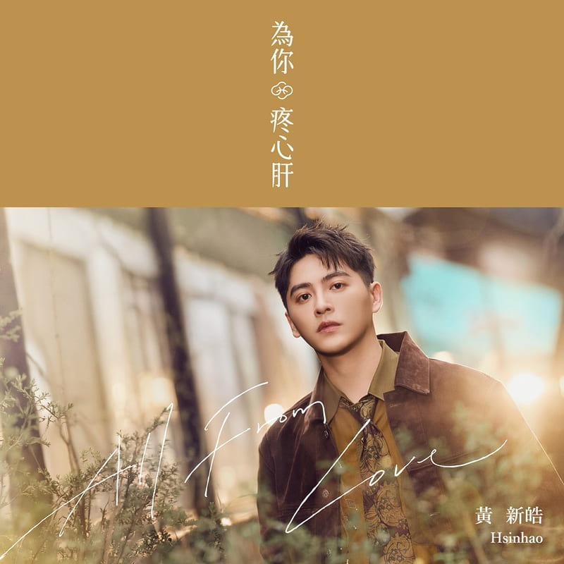 黃新皓 為你疼心肝CD 台灣正版全新-細節圖3
