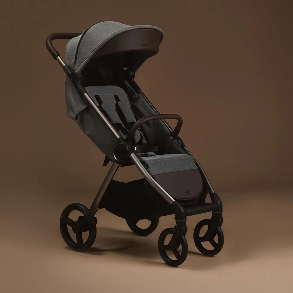 波蘭 anex IQ跨界環旅全能 嬰兒推車【金寶貝】 可登機 雙向嬰兒車 輕便推車 雙向推車-細節圖10