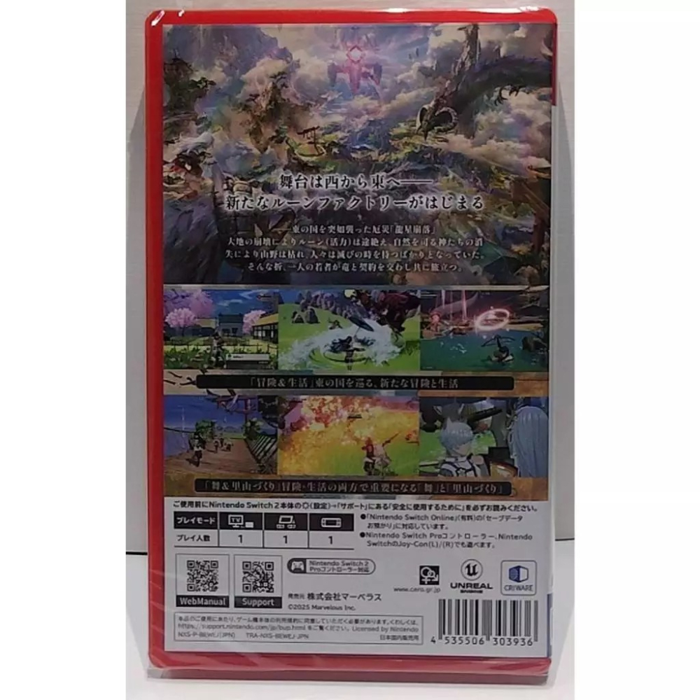 NS2 符文工廠 龍之天地 中文版-細節圖2