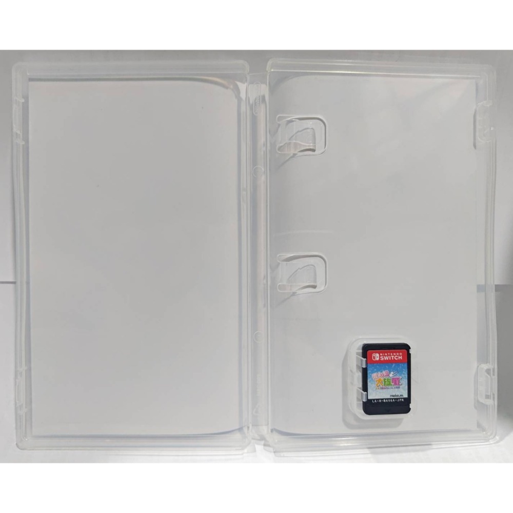 ＜譜蕾兒電玩＞（二手）NS 雪女大旋風 ～沙雪與小雪的大騷動～ 日版-細節圖3