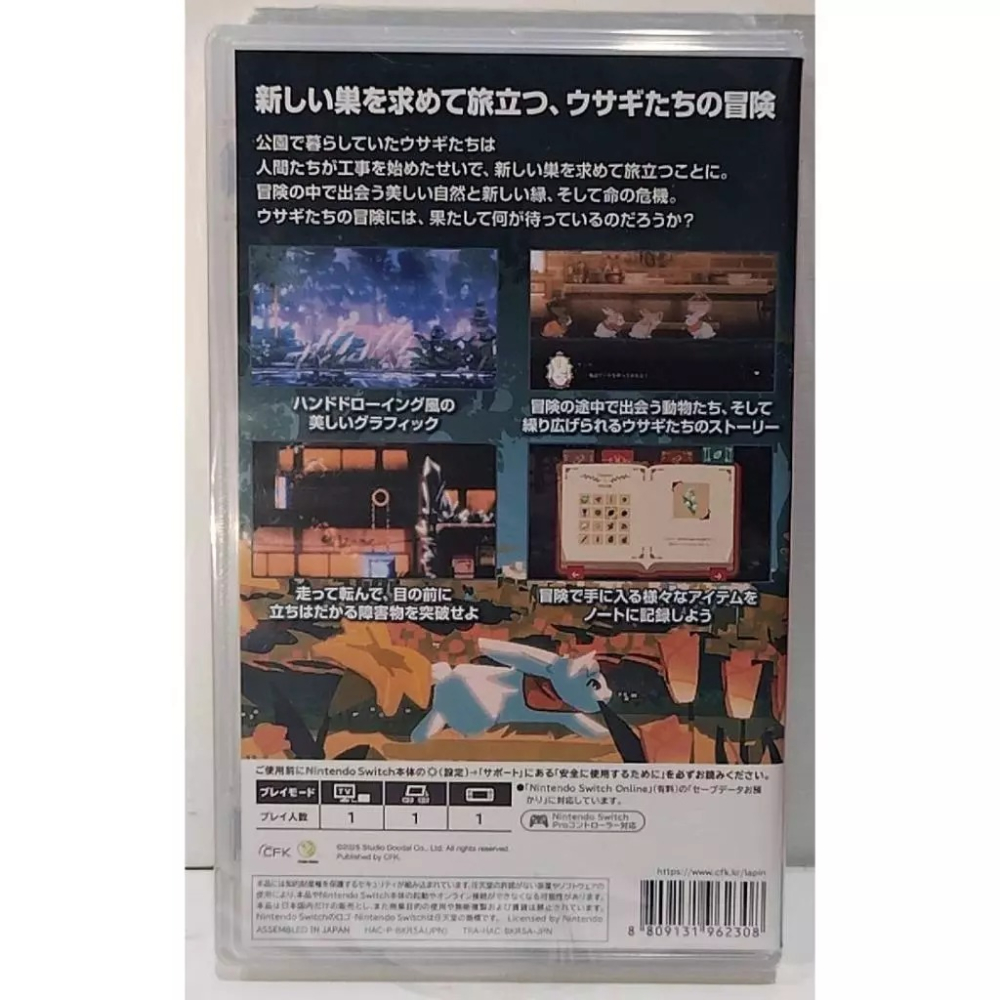 ＜譜蕾兒電玩＞（全新）NS LAPIN 中文版-細節圖2