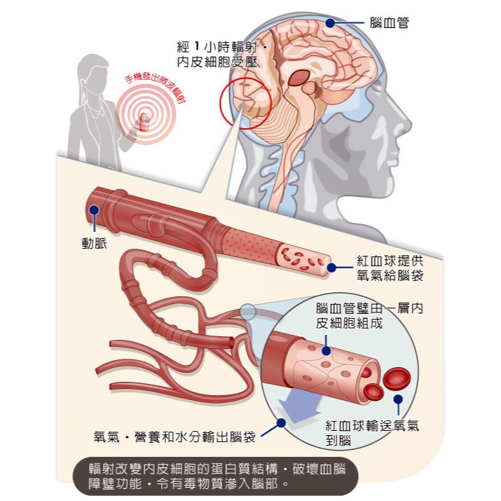 (出清價) Biozen 防電磁波貼片「買2送1」-細節圖3