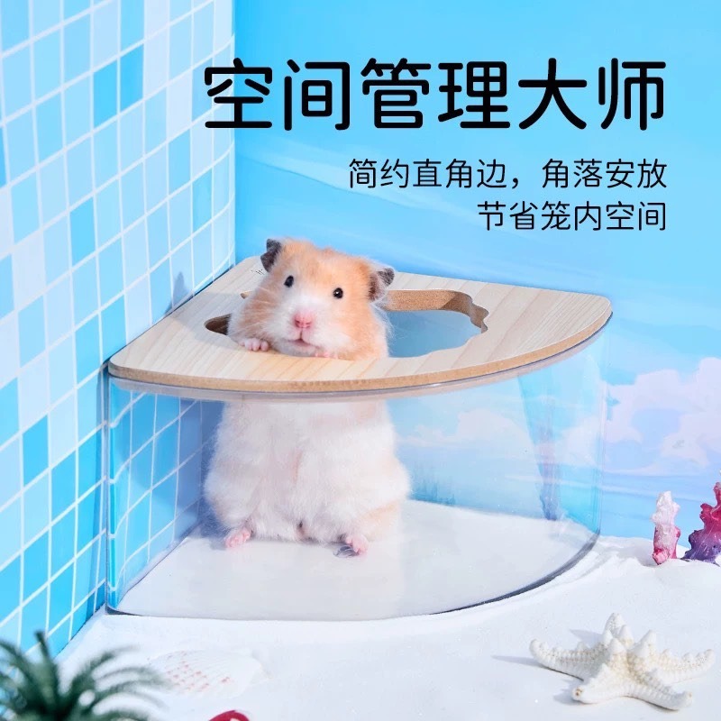 🍔現貨供應🍔 它適貝殼浴室 倉鼠廁所-細節圖2