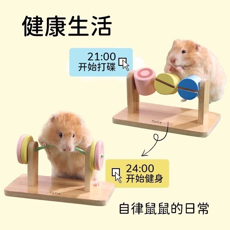 🍔現貨🍔 它適 打碟玩具 倉鼠用品 玩具-細節圖3