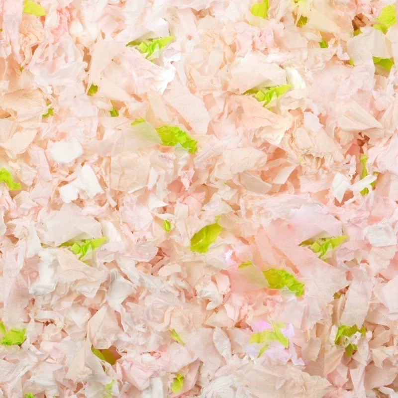 ✨新品現貨上架✨ 困困薯紙綿-規格圖1