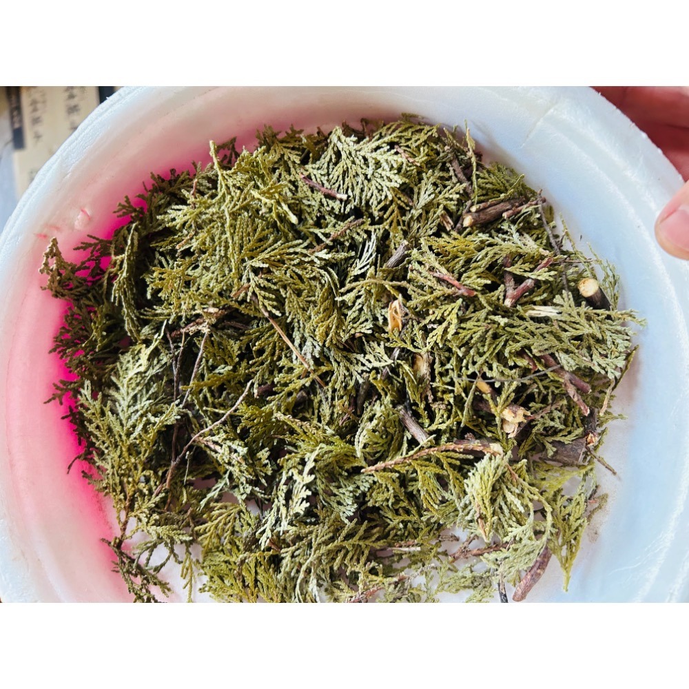 台灣產《側扁柏/扁柏》一台斤600g 出貨超快速🚀 - 青草聊事 - iOPEN Mall