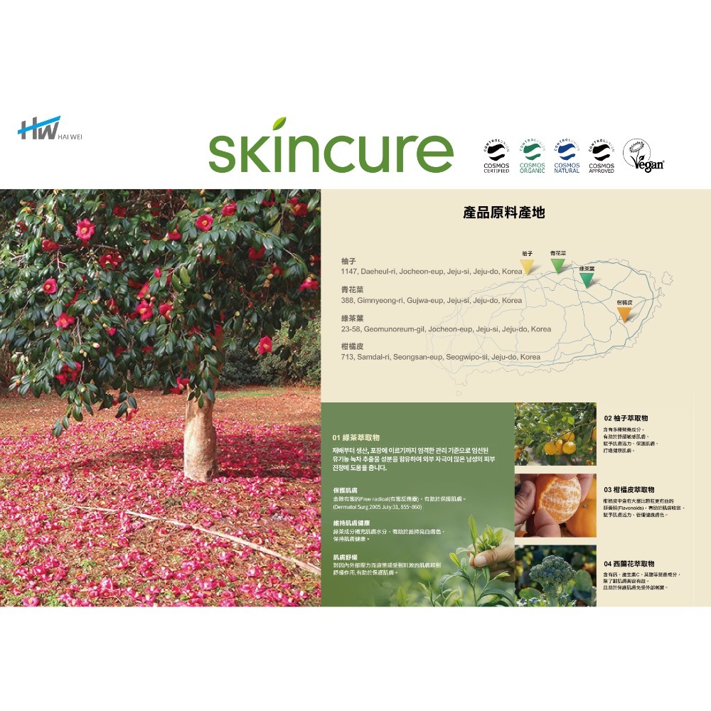 韓國 保養品 Skincure 山茶花脂質體化妝水 Sandawha Liposome Skin Softner-細節圖6