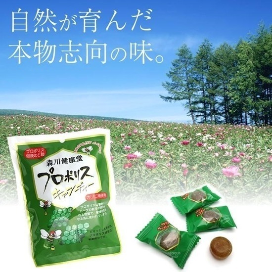 日本森川健康堂 蜂膠喉糖100g-細節圖2