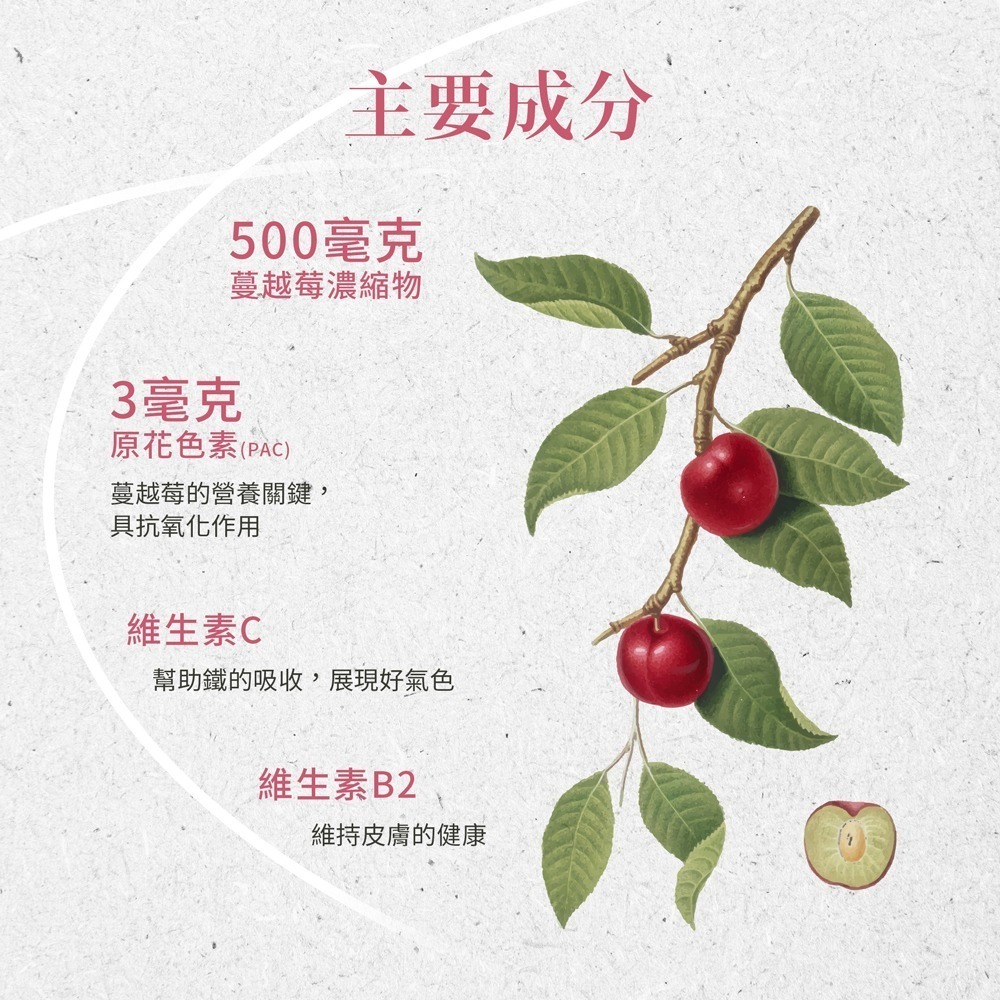 原廠 聖伯納德 Sanct Bernhard 蔓越莓膠囊(90粒/罐)花青素 維他命C-原 德國百年草❤️ㄚ比小鼻❤️-細節圖2