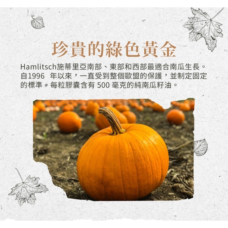 聖伯納德 Sanct Bernhard 南瓜籽油膠囊(400粒/每罐) 高生育酚 原 德國百年草本❤️ㄚ比小鼻❤️-細節圖2