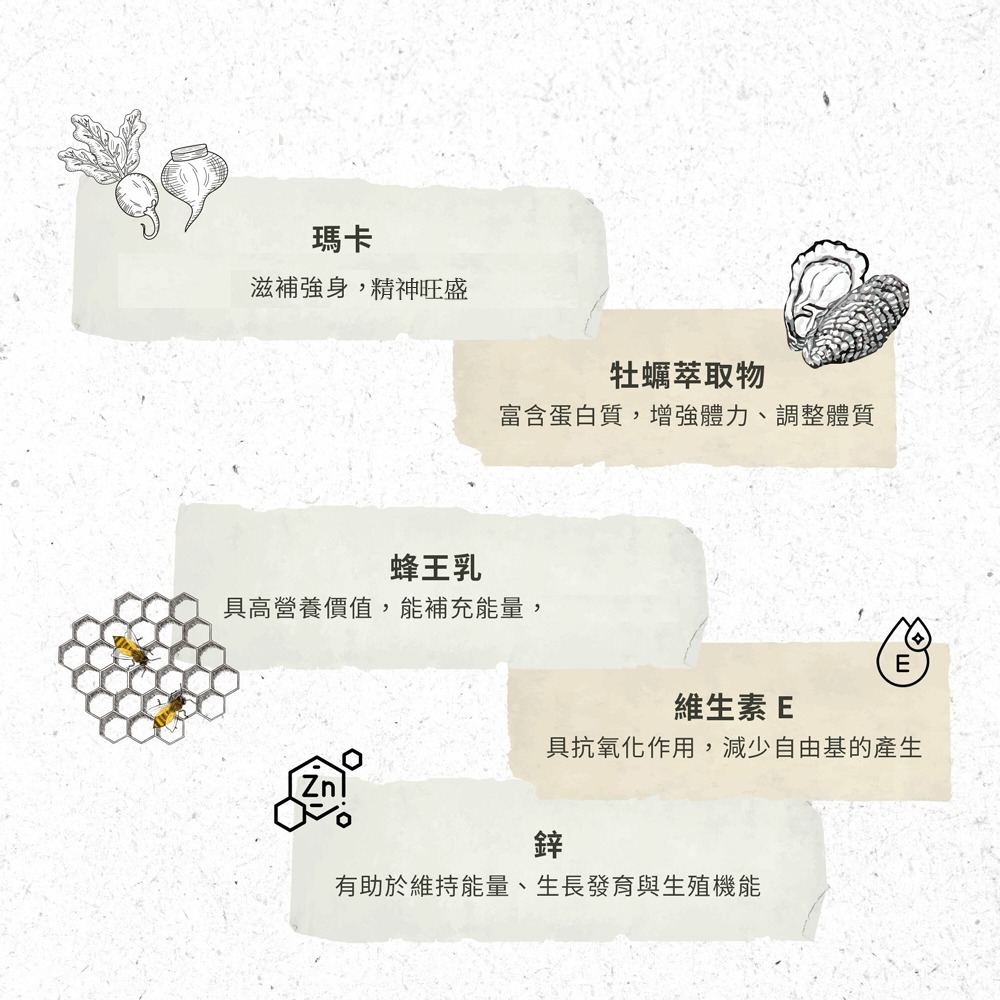 原廠 聖伯納德 Sanct Bernhard 牡蠣瑪卡活性膠囊(120顆/瓶) 活力瑪卡 牡蠣精 鋅❤️ㄚ比小鼻❤️-細節圖4