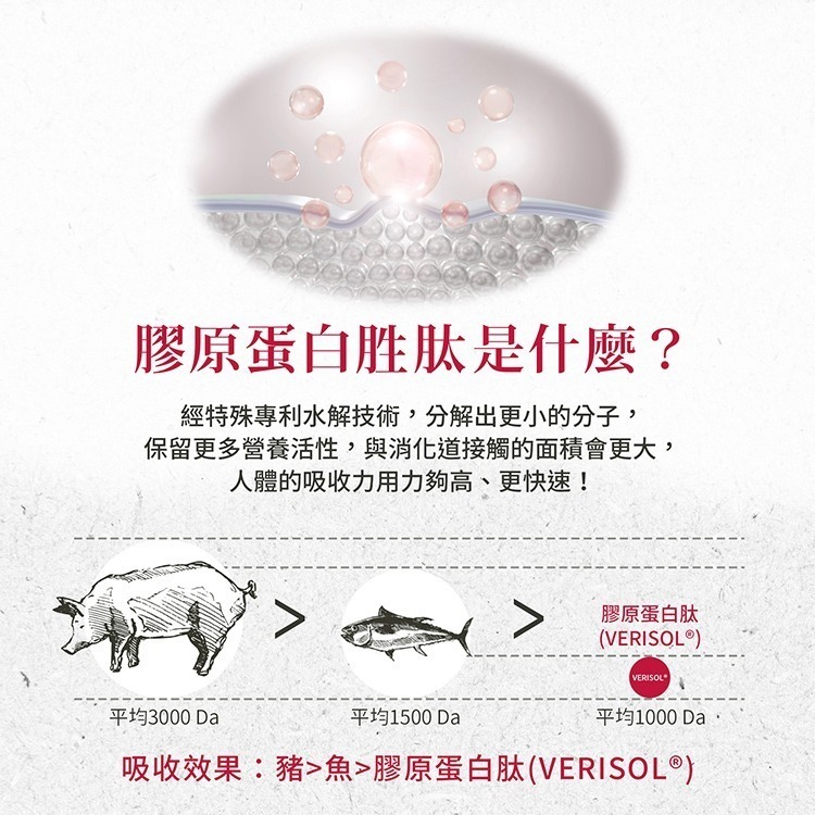 聖伯納德 Sanct Bernhard 膠原蛋白安瓶飲 (20ml x 30/盒) 野櫻莓 膠原蛋白❤️ㄚ比小鼻❤️-細節圖5