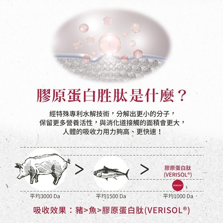 聖伯納德 Sanct Bernhard 膠原蛋白安瓶飲 (20ml x 30/盒) 野櫻莓 膠原蛋白❤️ㄚ比小鼻❤️-細節圖5