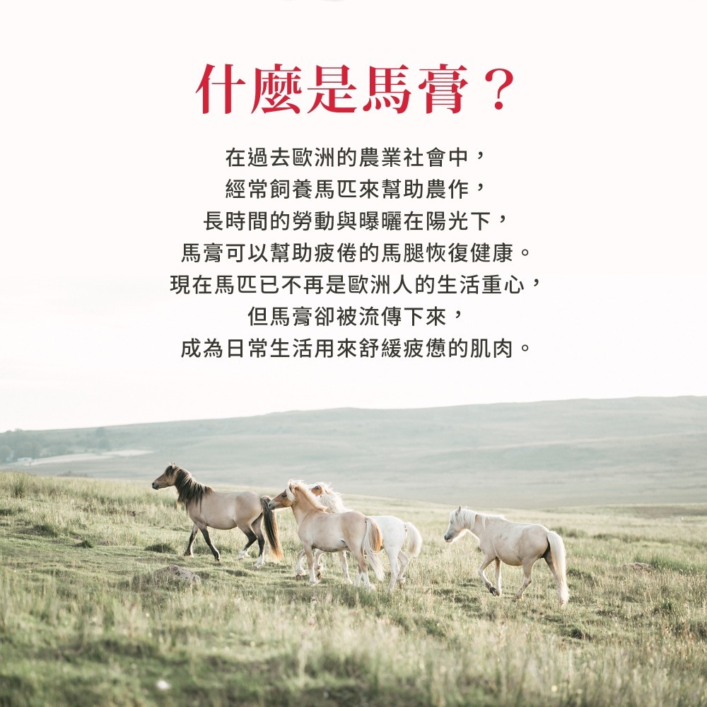 原廠 聖伯納德 Sanct Bernhard 按摩馬膏(200ml瓶)舒緩調理 保濕肌膚 薄荷草 ❤️ㄚ比小鼻❤️-細節圖2