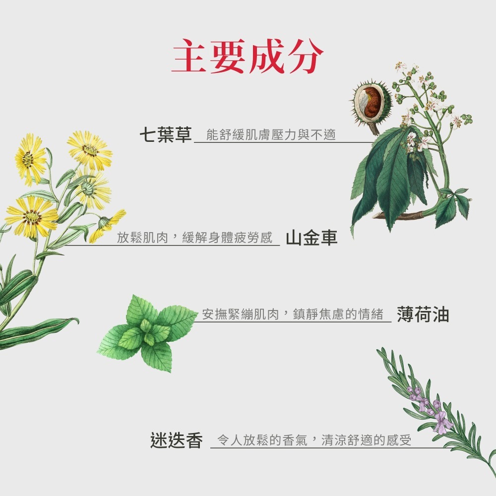 原廠 聖伯納德 Sanct Bernhard 按摩馬膏(200ml瓶)舒緩調理 保濕肌膚 薄荷草 ❤️ㄚ比小鼻❤️-細節圖3