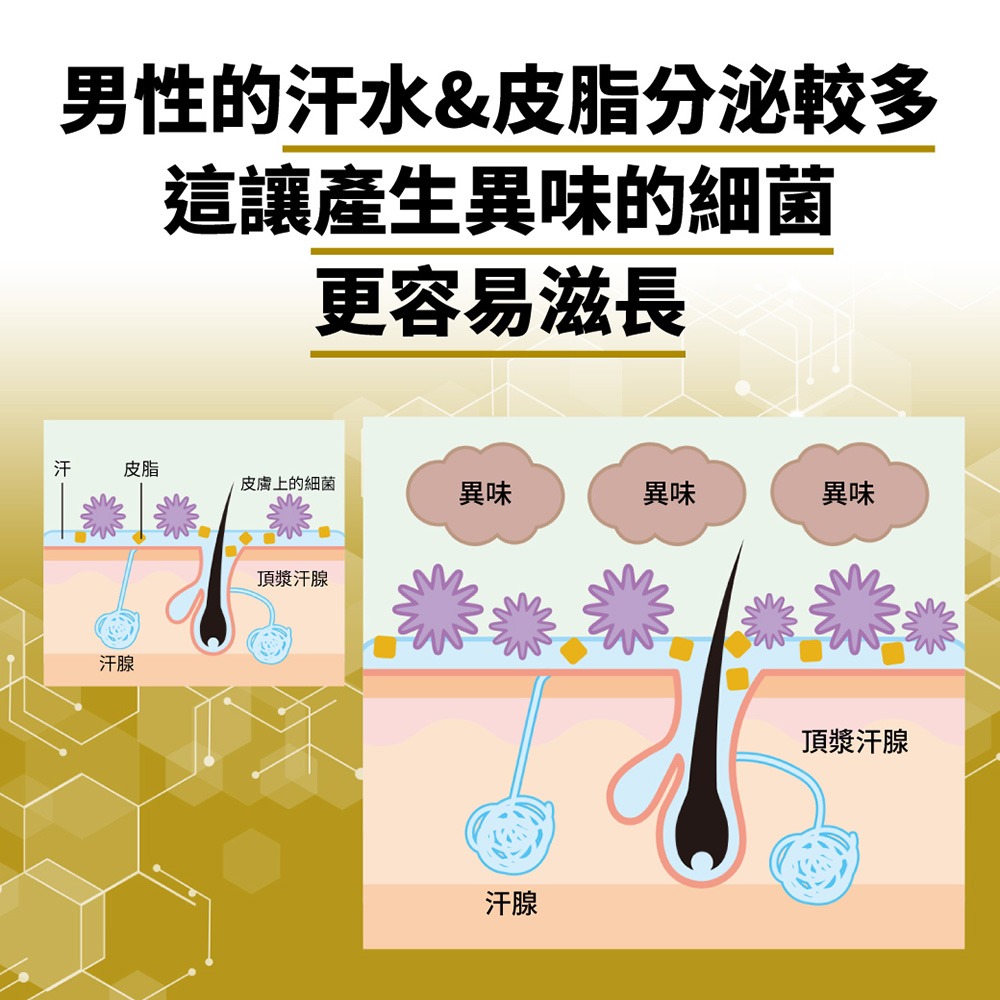 【GATSBY】止汗體香滾珠50ml 夜幕迷惑/沉靜情懷/純淨自在/深邃謎情 止汗劑 體香劑 體香滾珠❤️ㄚ比小鼻❤️-細節圖6
