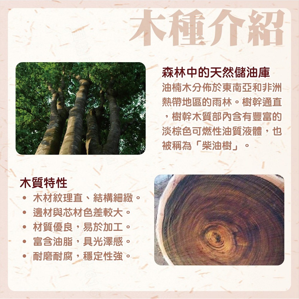 台灣製造│木作盤五件組-細節圖2