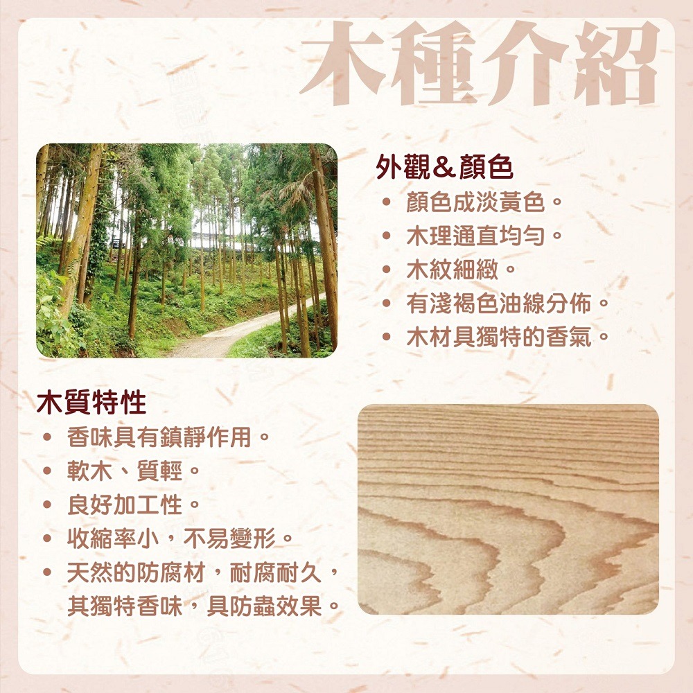 台灣製造│龍雕文昌筆-細節圖3