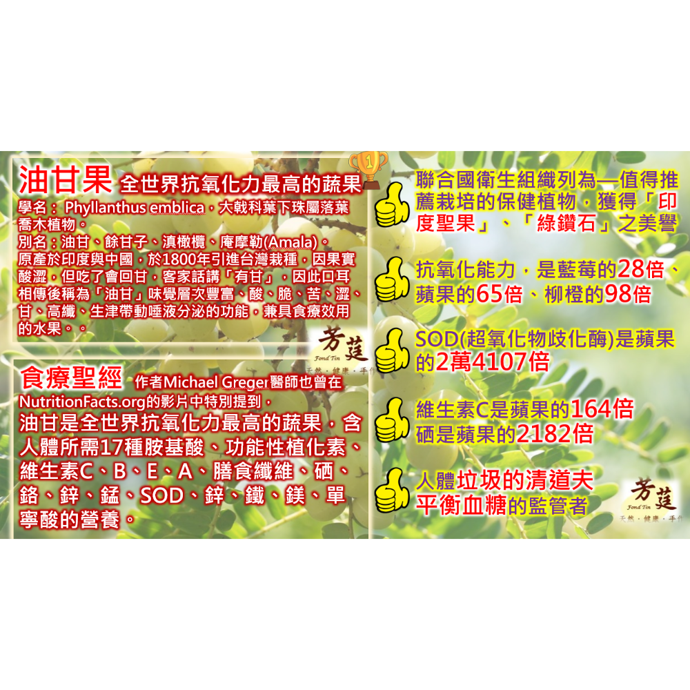 【真空冷凍乾燥油甘果粉】【苗栗三灣】100%天然抗氧化★411項藥檢合★-細節圖3