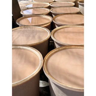 🏆［好口碑］白河蓮藕粉/新粉上市 免運/蓮藕粉/無毒檢驗合格/冰水煉製正石蓮/新鮮/藕粉/蓮藕粉-細節圖7