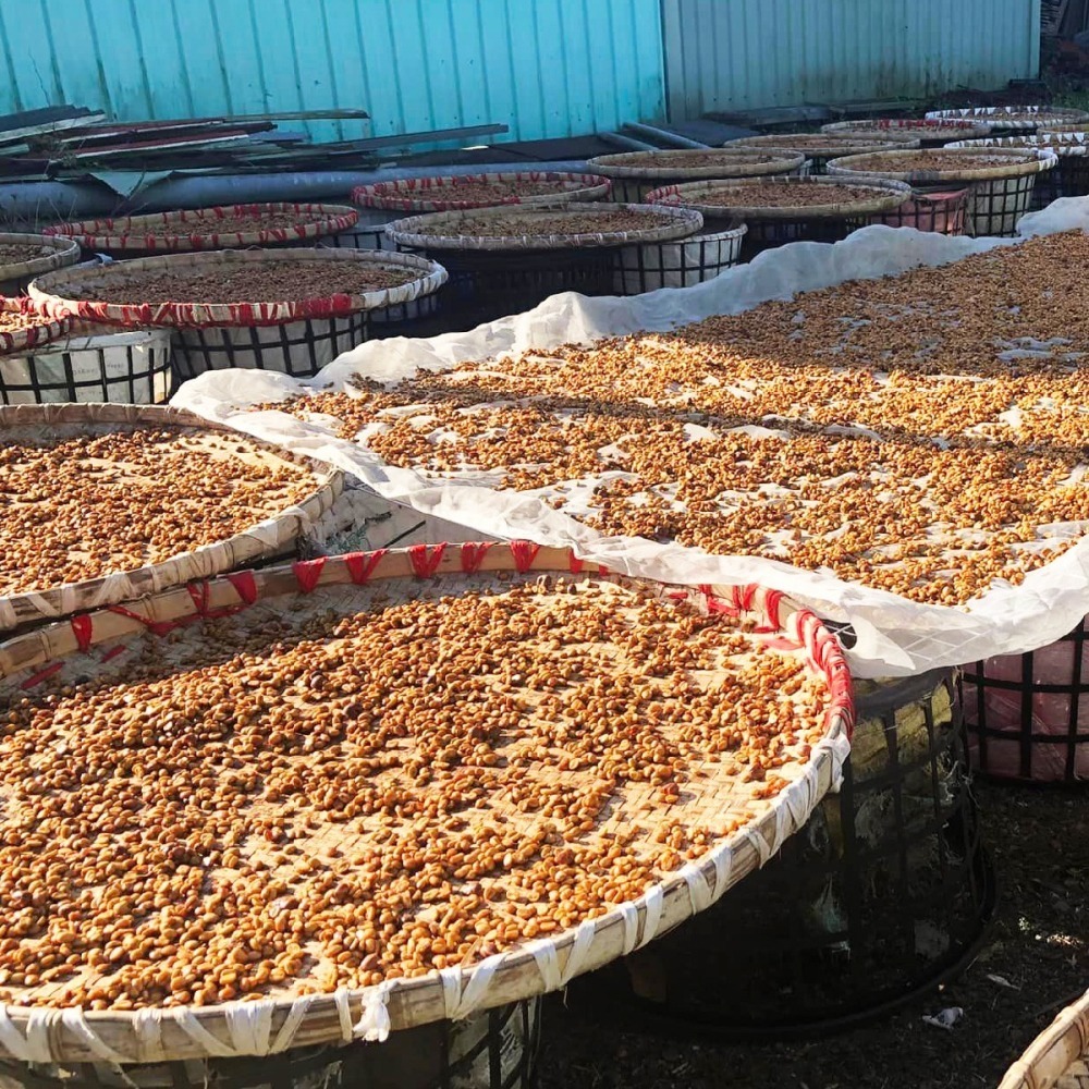 【川咖啡】台灣小農鑽石型濾掛咖啡 南投水里水洗(10g*10包)-細節圖4